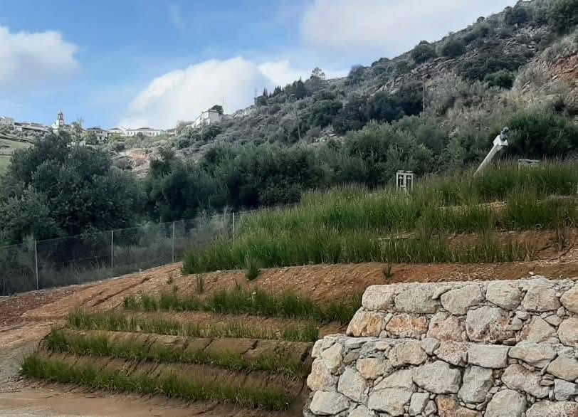 Contenção e Estabilização de Taludes — Contenção e estabilização de taludes com plantas depuradoras de água, Portugal